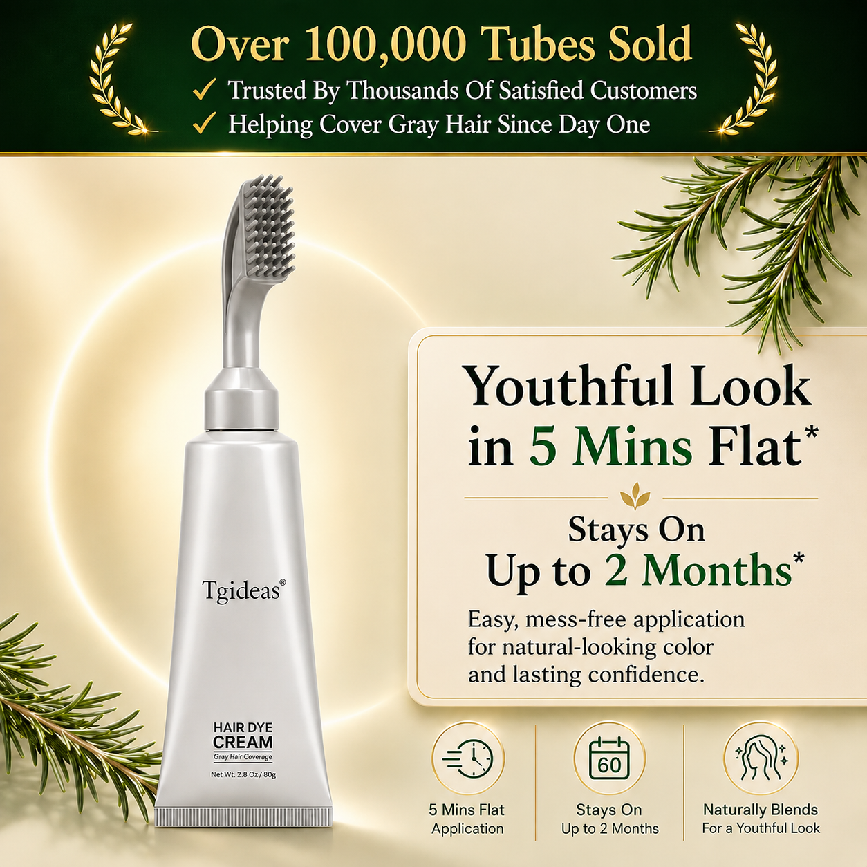 Tgideas Instant Gray Coverage Hair Dye Comb